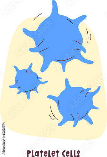 Platelet Human Cells