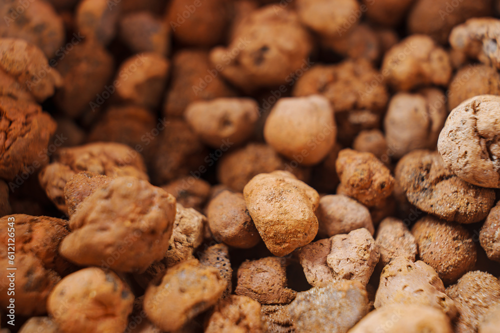 Expanded clay. small lumps of clay used in construction and for growing plants. Expanded clay. small lumps of clay used in construction and for growing plants.