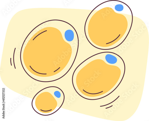Fat Human Cells