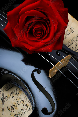 Red Rose On Black Violin