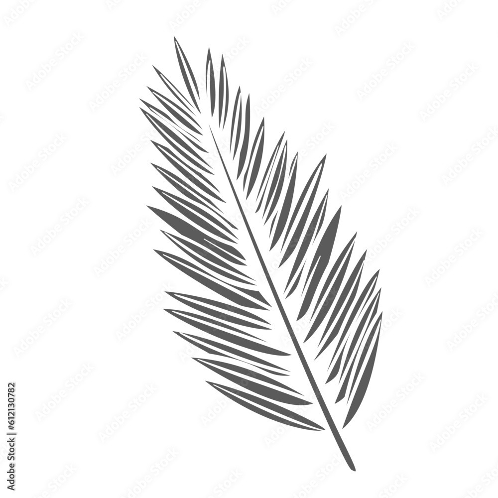Coconut palm tree branch with leaves glyph icon vector illustration. Silhouette of palm leaf and stem, stamp of tropical jungle, exotic garden or beach plant and natural floral decoration for spa