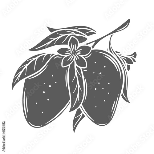 Mango tree branch glyph icon vector illustration. Stamp of Mangifera indica twig with leaves, flowers and ripe raw fruits hanging on stem, mango plant and organic harvest of summer exotic garden