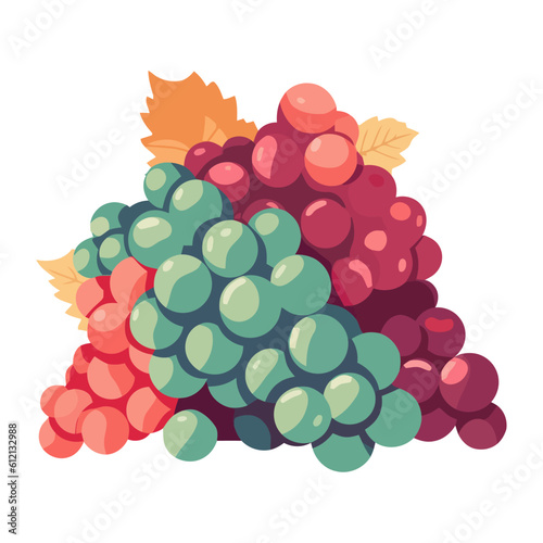 Organic grape bunch and leaves