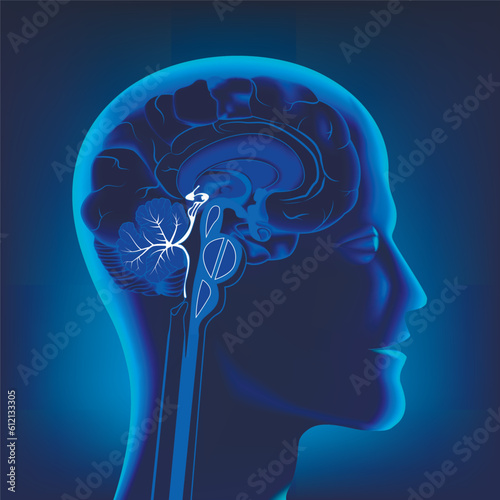 Head with brain in section in profile. Neon, glowing illustration. medical poster