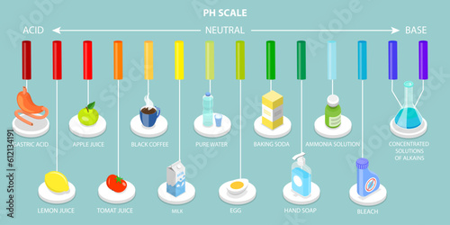 3D Isometric Flat Vector Conceptual Illustration of PH Scale, Food Acidity Chart