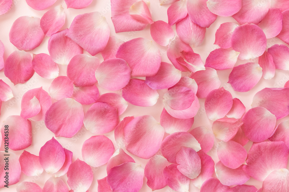 Pink petals on a pastel background. Floral banner. Soft selective focus.