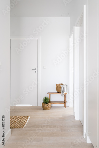Slika na platnu hallway with modern design in contemporary apartment