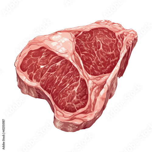 Freshly butchered meat for gourmet cooking