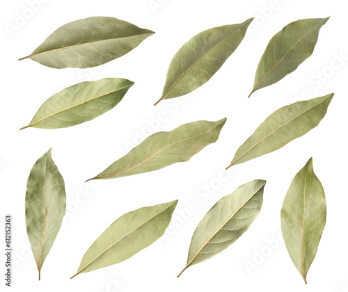 Collage with dry bay leaves on white background