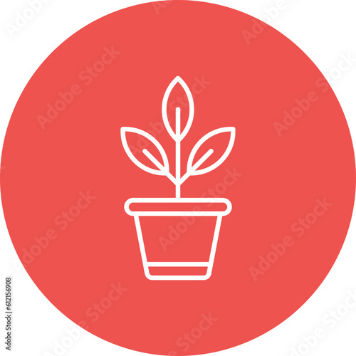 Botanical Icon