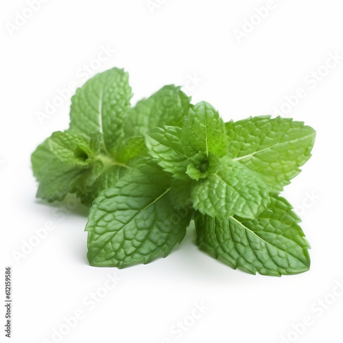 green mint leaves isolated on white. AI generated content