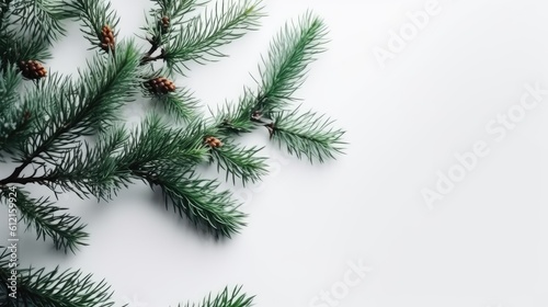 Christmas tree branches on white background with text copy space