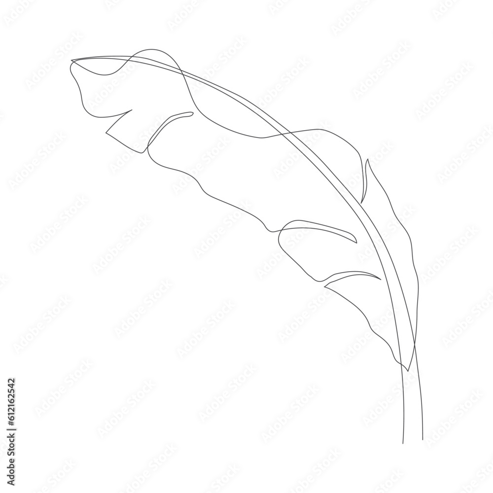 One continuous line drawing of banana leaf icon. Banana leaves line art. Abstract line art decorative concept of banana leaves. Single line drawing of banana leaves vector illustration. Tropical conce One continuous line drawing of banana leaf icon. Banana leaves line art. Abstract line art decorative concept of banana leaves. Single line drawing of banana leaves vector illustration. Tropical conce