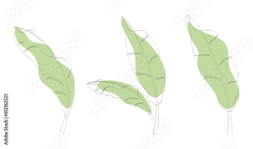 One continuous line drawing of banana leaf icon collection. Set of banana leaves line art. Abstract line art decorative concept of banana leaves pack. Single line drawing of banana leaves vector illus