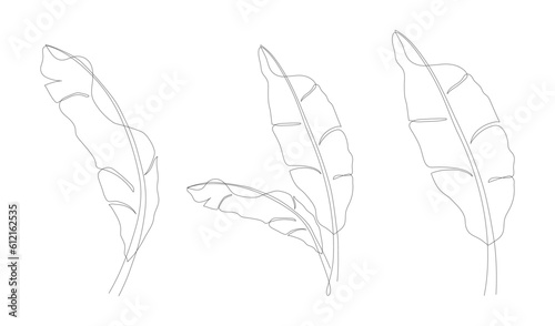 One continuous line drawing of banana leaf icon collection. Set of banana leaves line art. Abstract line art decorative concept of banana leaves pack. Single line drawing of banana leaves vector illus