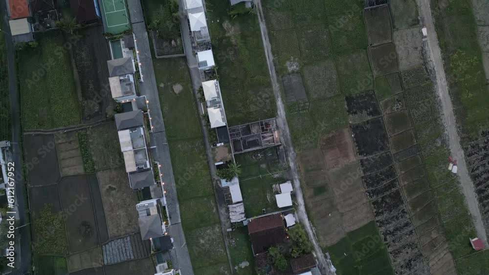 Agriculture fields with green crops in tropical Asia, bird's eye view Agriculture fields with green crops in tropical Asia, bird's eye view