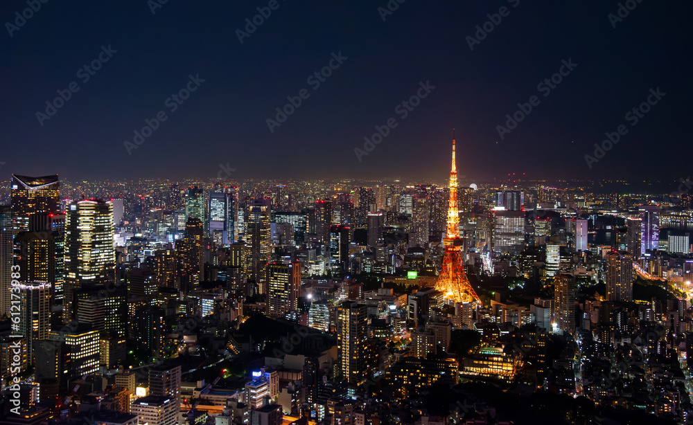  tourist attractions in the city park of Tokyo, Asia business concept image, panoramic modern cityscape building in Japan.  