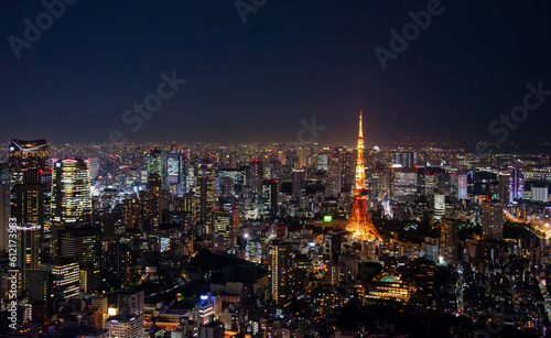  tourist attractions in the city park of Tokyo  Asia business concept image  panoramic modern cityscape building in Japan.  