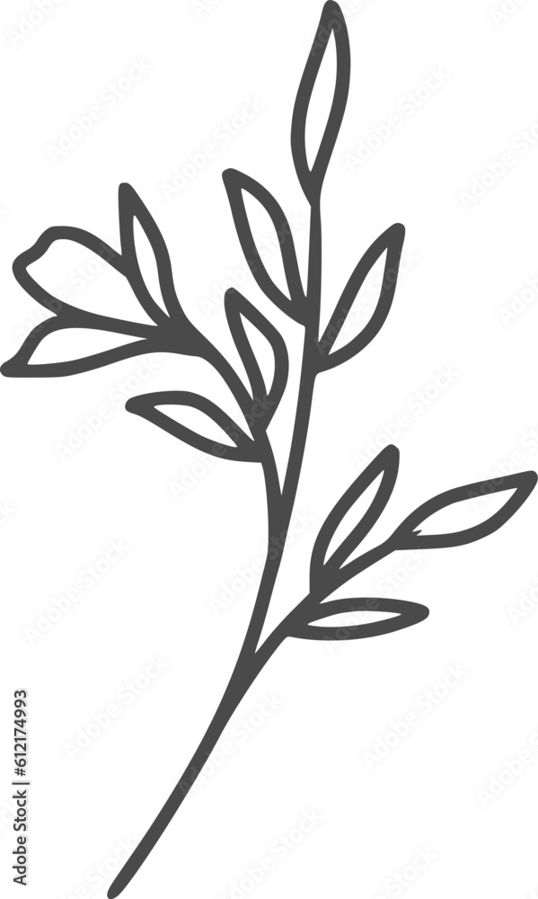 Naklejka premium wildflowers, flowers, outline, illustrations, floral, design, vector