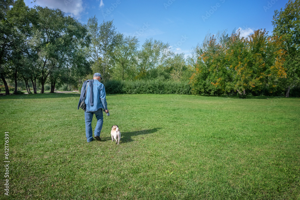 a man walks with a pug dog in a park in nature, a view from the back, selective focus a man walks with a pug dog in a park in nature, a view from the back, selective focus