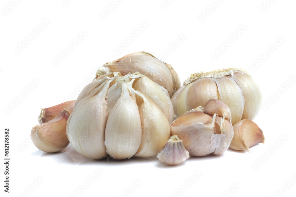 Garlic Isolated on white background Garlic Isolated on white background