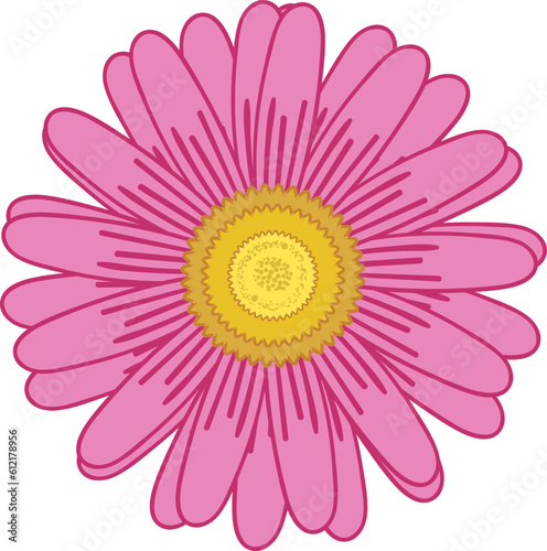 Pink Daisy Aster Flower Icon Vector