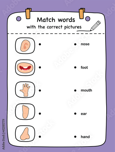 Match words with the correct pictures illustration, vector