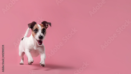 Jack russell terrier dog on pink background (Generative AI)