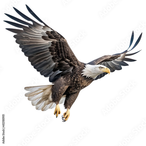bald eagle Bird Flying in the air with open wingspan isolated on white background, Generative Ai © SuperPixel Inc