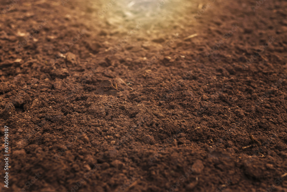 Close-up of fertile loam for the background Close-up of fertile loam for the background