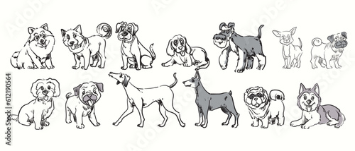 Set collection of breeds dog icon character hand drawing vector illustration. Isolated on white background.
