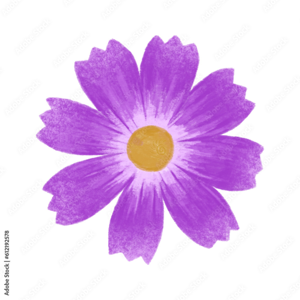 lotus flower isolated on white lotus flower isolated on white