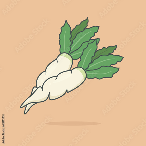 White radish vegetable with fresh green leaves designed in flat cartoon style. Vector illustration. Raphanus sativus.