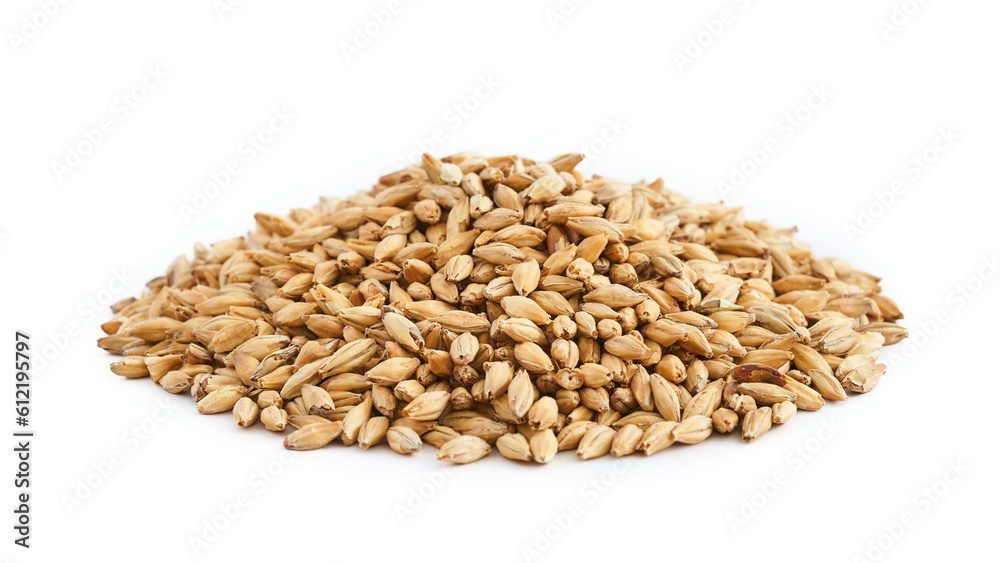 malt barley grain beer whole isolated on white background. pile of malt barley grain beer whole isolated. heap of malt barley grain beer whole isolated malt barley grain beer whole isolated on white background. pile of malt barley grain beer whole isolated. heap of malt barley grain beer whole isolated