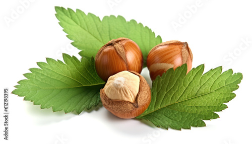 Three Hazelnuts with Leaves on a White Background - generative Ai