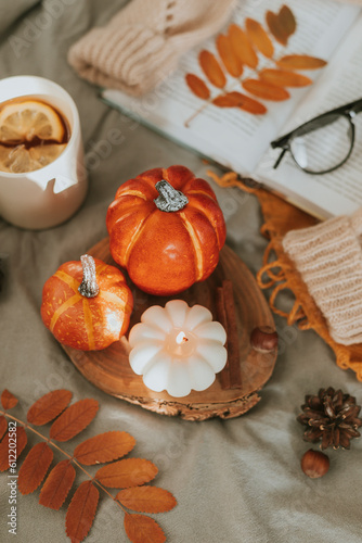 Cozy autumn decor - burning candle shape of pumpkin and orange decor pumpkins on wooden board on bed with open book, cup of tea and warm sweater