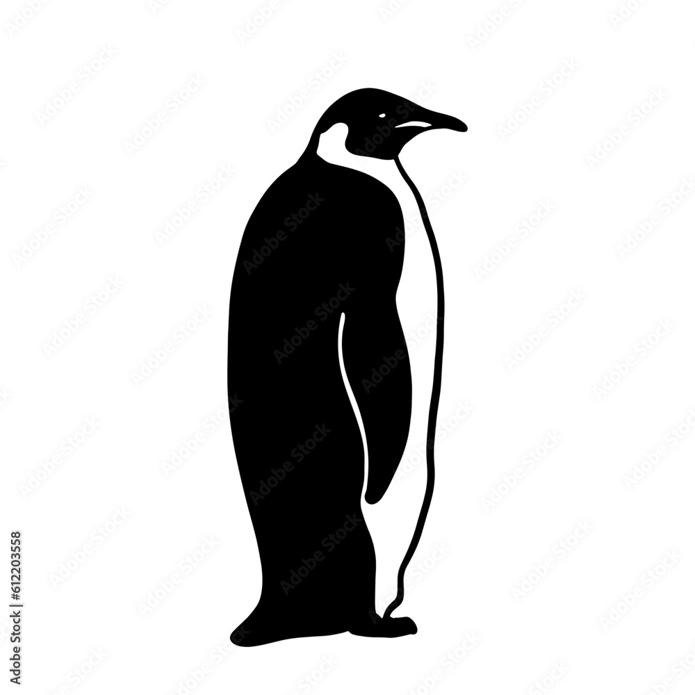 Fototapeta premium King Penguin. Monochrome vector illustration. Realistic polar animal