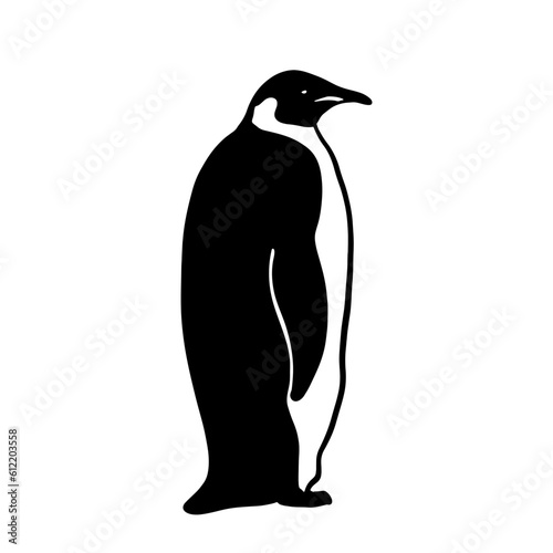 King Penguin. Monochrome vector illustration. Realistic polar animal