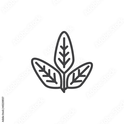 Sage herb line icon