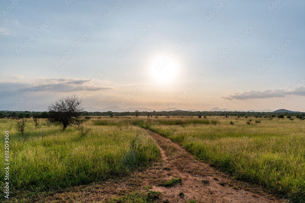 Sunset over the plains of grass and forest towards Drakensbergen outside of Hoedspruit close to Kruger National Park in South Africa Sunset over the plains of grass and forest towards Drakensbergen outside of Hoedspruit close to Kruger National Park in South Africa