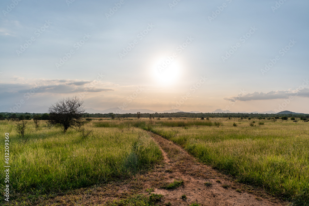 Sunset over the plains of grass and forest towards Drakensbergen outside of Hoedspruit close to Kruger National Park in South Africa