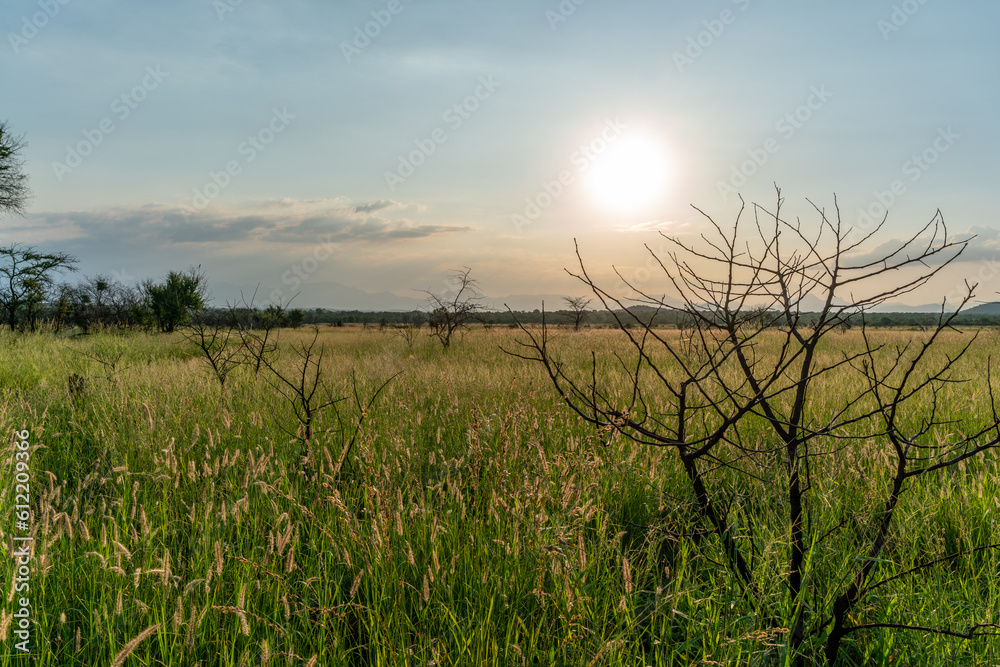 Sunset over the plains of grass and forest towards Drakensbergen outside of Hoedspruit close to Kruger National Park in South Africa Sunset over the plains of grass and forest towards Drakensbergen outside of Hoedspruit close to Kruger National Park in South Africa