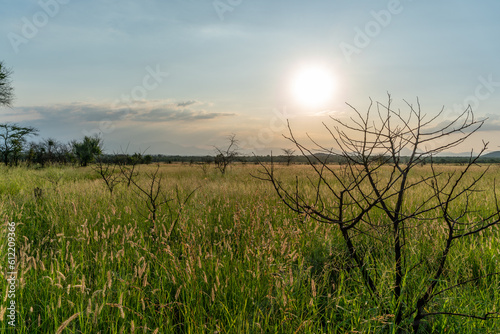 Sunset over the plains of grass and forest towards Drakensbergen outside of Hoedspruit close to Kruger National Park in South Africa