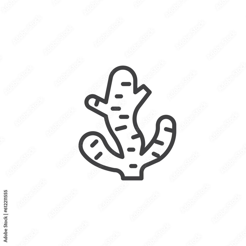 Ginger root line icon