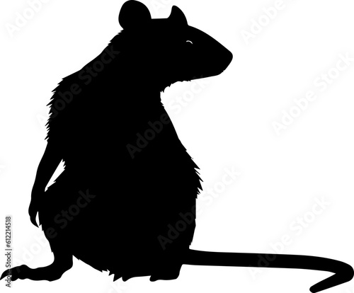 Silhuette rat animal images