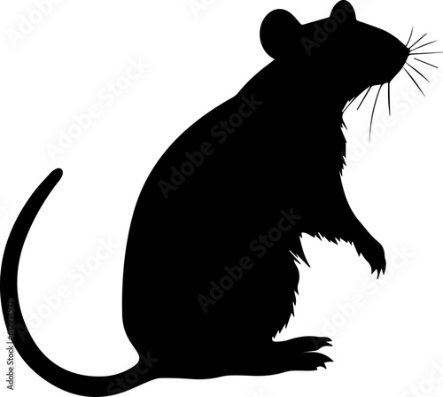 Silhuette rat animal images