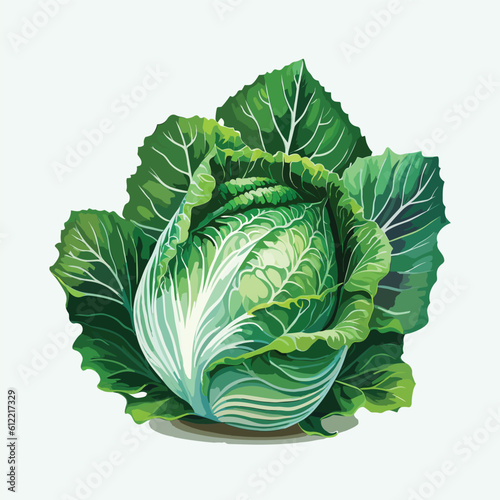 vector cute cabbage cartoon style