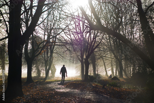 silhouette of a man walking his dog in the early morning mist on a path between trees and patches of sun light © Ian