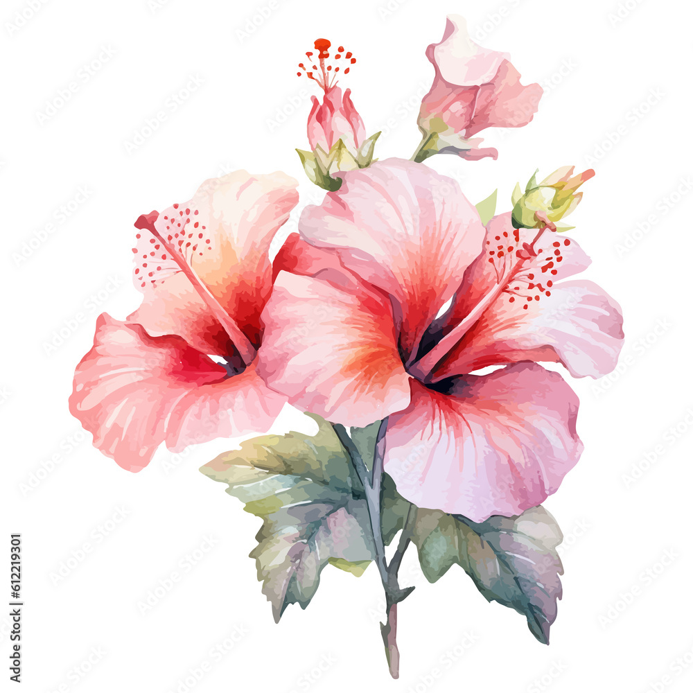Watercolor hibiscus flower, tropical hibiscus flower, hibiscus Sticker Watercolor hibiscus flower, tropical hibiscus flower, hibiscus Sticker