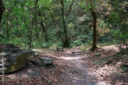 April 29  2023  Nantou Aowanda National Forest Recreation Area